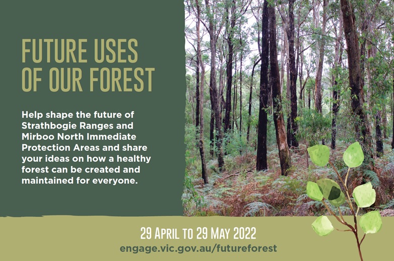 Future Uses of Our Forests engagement opportunities